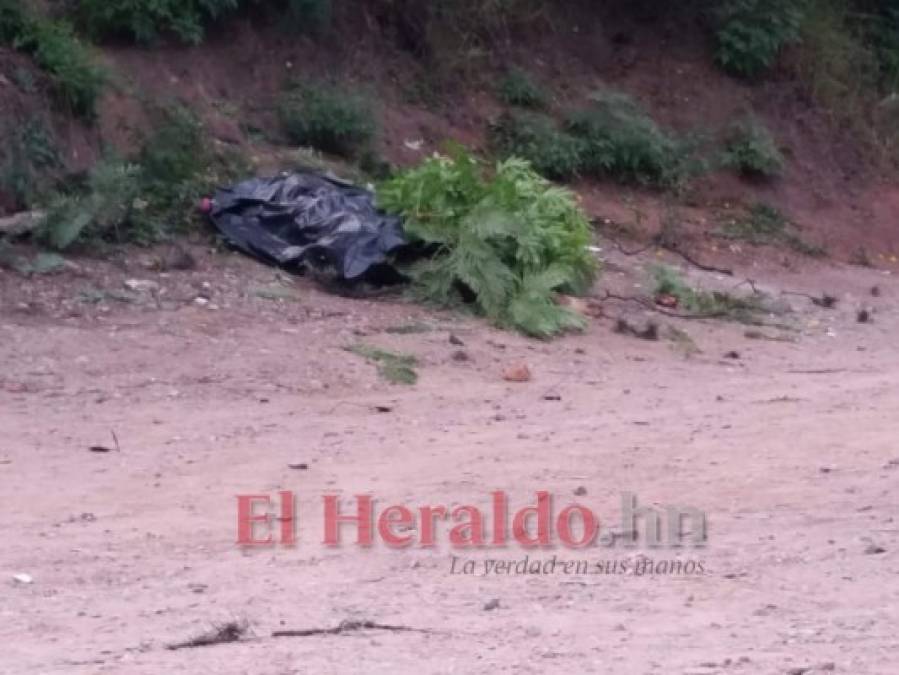 FOTOS: Así quedó la escena donde una pareja murió atropellada en Tegucigalpa