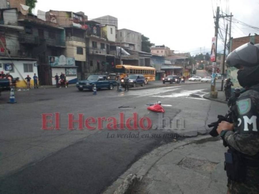 Los paquetes con restos de cerdo dispersos en la capital: ¿Broma de mal gusto o mensaje oculto? (FOTOS)