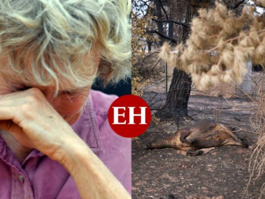 ¡Imágenes que duelen! Incendios siguen arrasando con bosques y animales de Australia