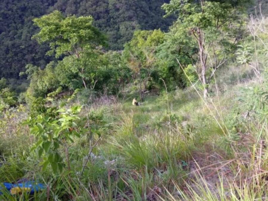 FOTOS: Las imágenes que dejó la caída de un vehículo a un abismo de La Paz