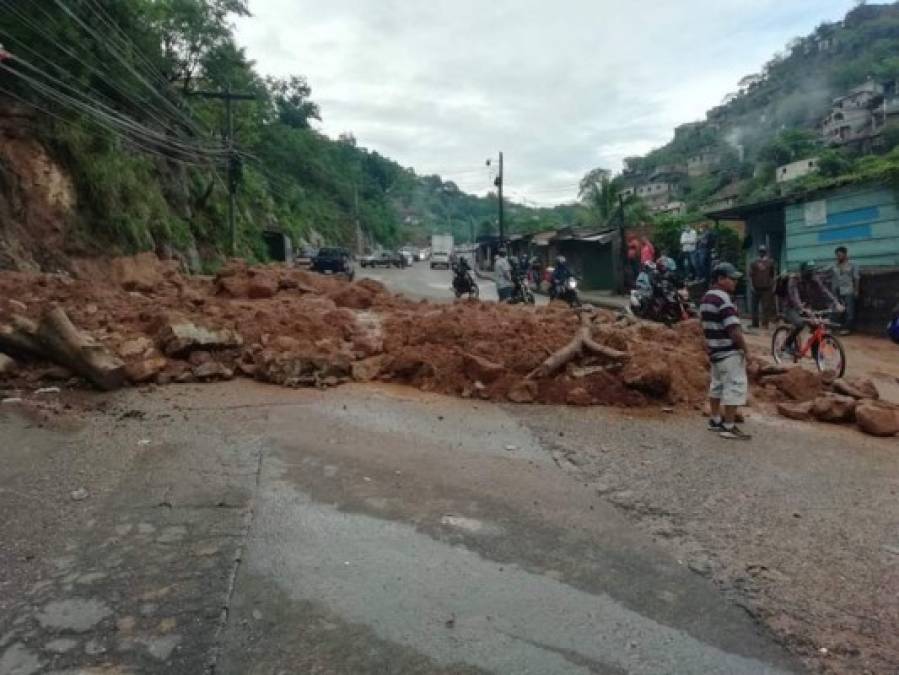 Aludes, inundaciones y árboles caídos entre daños por lluvias en la capital