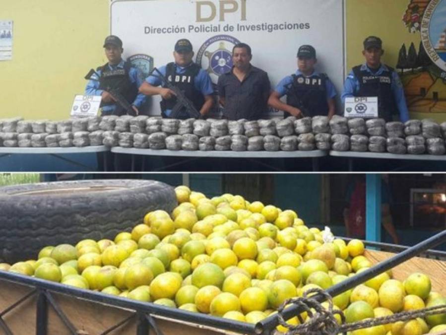 Las formas más 'inusuales' de transportar droga que han sido detectadas en Honduras