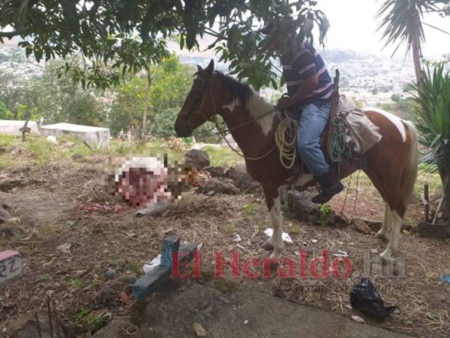 ¡Dantesco! Imágenes del destazadero clandestino hallado en cementerio de la capital