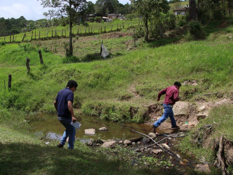 Un hilo de agua color tierra que se puede cruzar de un solo paso. El equipo de EL HERALDO Plus inspecciona el debilitado cauce de la quebrada Agua Helada, en el caserío Cruz Blanca, donde la delgadez del caudal convive con mangueras de extracción que desvían el recurso en las zonas altas.