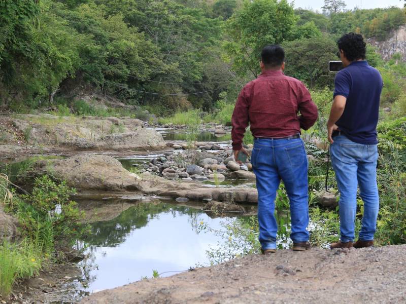 En un tramo que debería registrar un caudal firme hacia la represa Los Laureles, el equipo de EL HERALDO Plus documenta cómo el agua se ha convertido en un pequeño espejo café y estancado entre lodo agrietado.