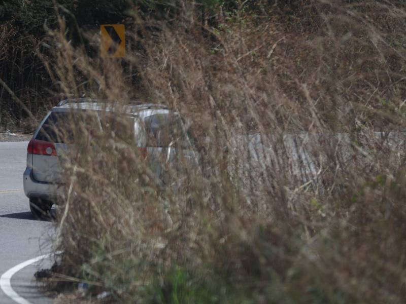 El matorral en el Canal Seco impide la visibilidad, lo que pone en peligro a los conductores. En algunos casos optan por prenderle fuego.