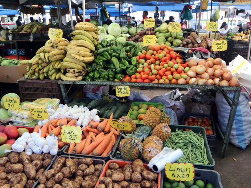 El precio de la libra de papa aumentó cinco lempiras en una semana al pasar de L23 a L28 en las ferias del agricultor de la capital hondureña.