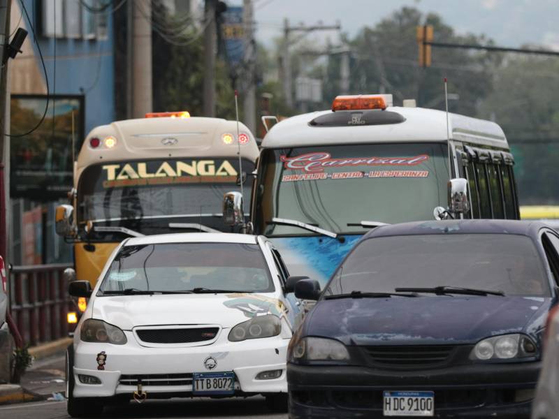 Cada pasajero en Tegucigalpa produce cerca de 1,377 kilogramos de CO2 al año solo por sus traslados al trabajo o la escuela —haría falta que cada uno plantara más de 63 árboles para compensarlo.