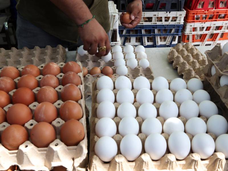 El precio del cartón de huevos oscila entre 70 y 100 lempiras, dependiendo del tamaño.