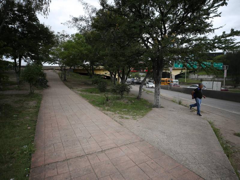 Los pasos por los que deben transitar los capitalinos luego de bajarse de los buses o taxis son totalmente desolados y sin una pizca de alumbrado.