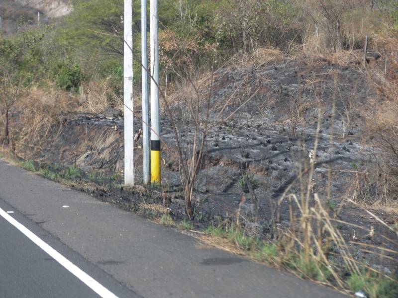 En algunos tramos del Canal Seco solo se observan cenizas que dejó el fuego. Por falta de mantenimiento, los matorrales crecen y tapan la visibilidad de los conductores.