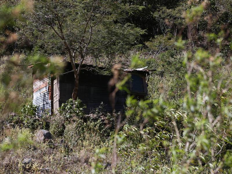 Jiniguare es una zona productora; por eso en la comunidad se distribuyen bodegas como esta, claves para el abastecimiento y la economía local. De construirse la represa, ese engranaje productivo podría desaparecer.