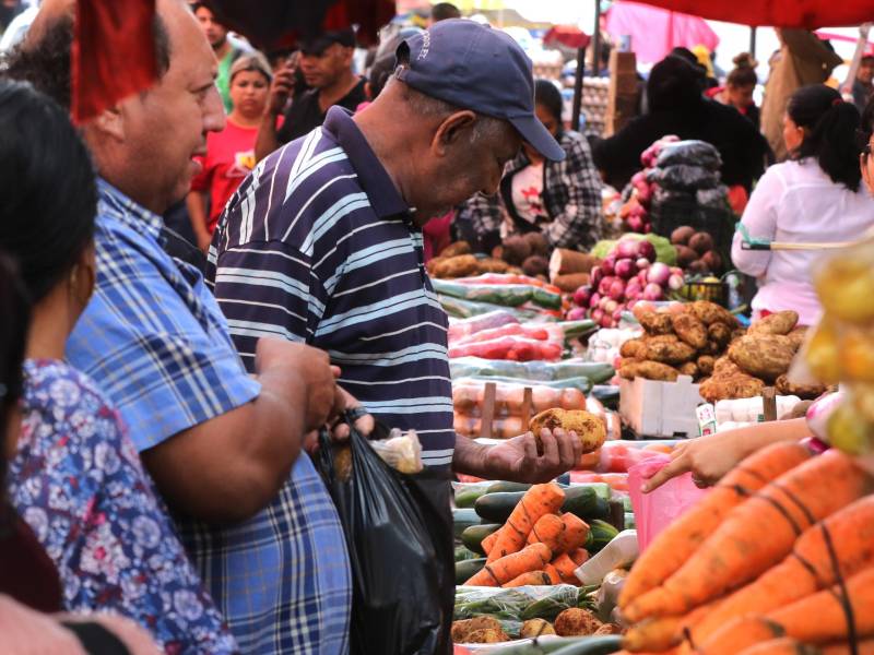 Los precios de los productos de consumo básico han experimentado fuertes alzas por el extenso verano y por el impacto de los combustibles.