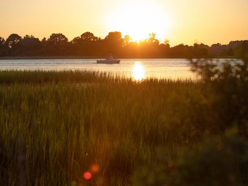 Las marismas de Carolina del Sur figuran hoy entre los hábitats marinos más vulnerables del mundo, dice estudio. (Madeline Gray para The New York Times)