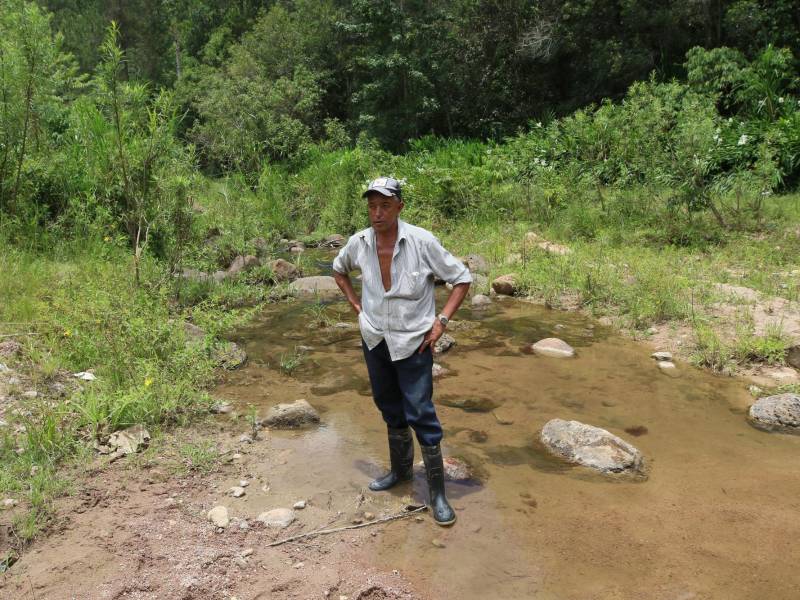 Con las botas puestas sobre el escaso cauce en la aldea de Quiscamote, el productor de hortalizas Héctor Reconco relata a EL HERALDO Plus el impacto irreversible de la crisis hídrica en las zonas altas: “Todo está seco. Se ha consumido”.