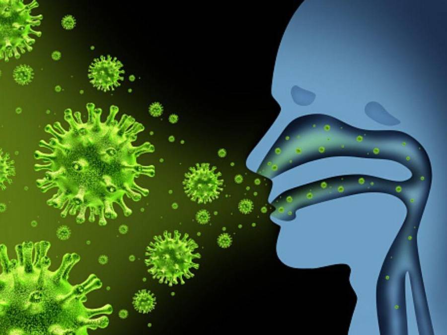 ¿Qué se sabe sobre la gripe aviar H3N8, contagiada por primera vez en humanos?