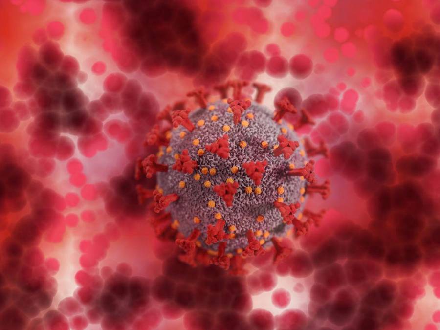 Lo que hay que saber sobre el hepanivirus, la enfermedad que acecha al mundo