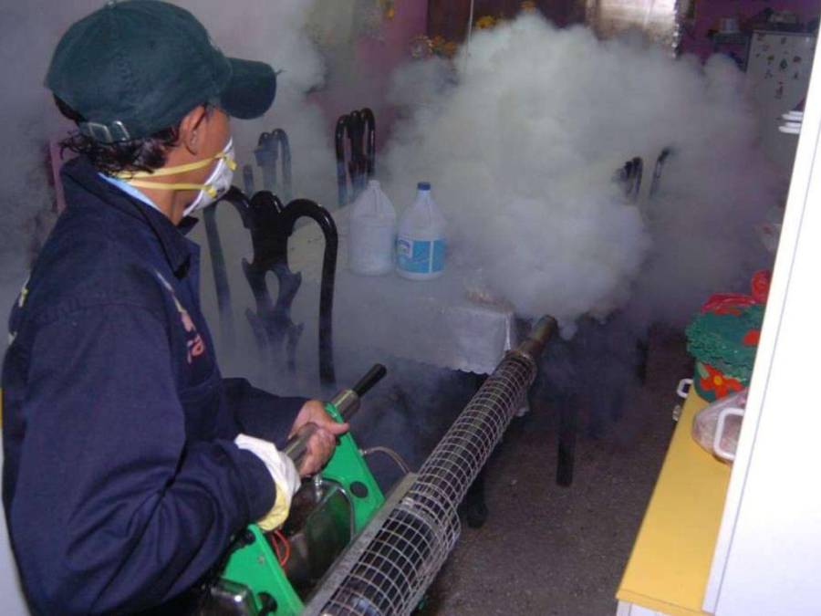 ¿Qué es el método Wolbachia que se usará para combatir el dengue en Honduras?