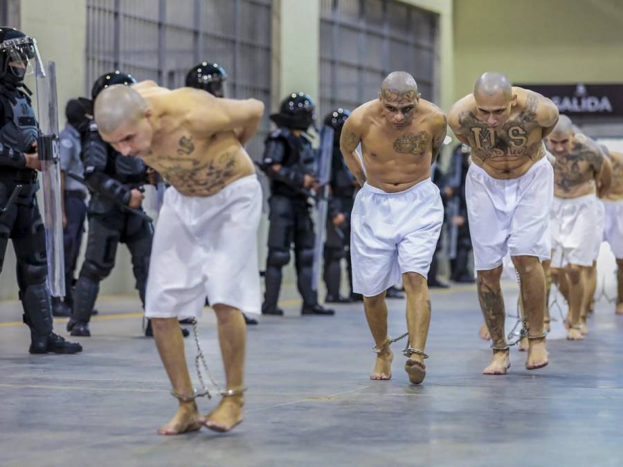 Tatuados, descalzos y esposados: impresionantes fotos de miles de pandilleros llegando a la megacárcel de El Salvador