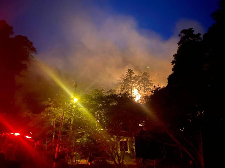 Arde La Tigra: impactantes imágenes del incendio forestal de gran magnitud