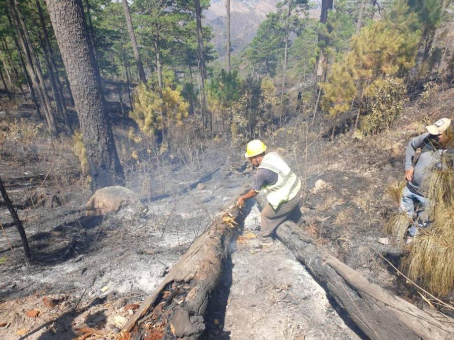 Con machetes, Batefuego y voluntad combaten incendio forestal en La Montañita (Fotos)