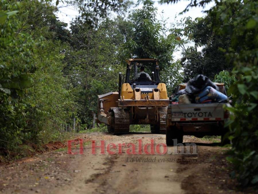 Biósfera del Río Plátano: 100 kilómetros de una carretera ilegal que amenaza un pulmón mundial