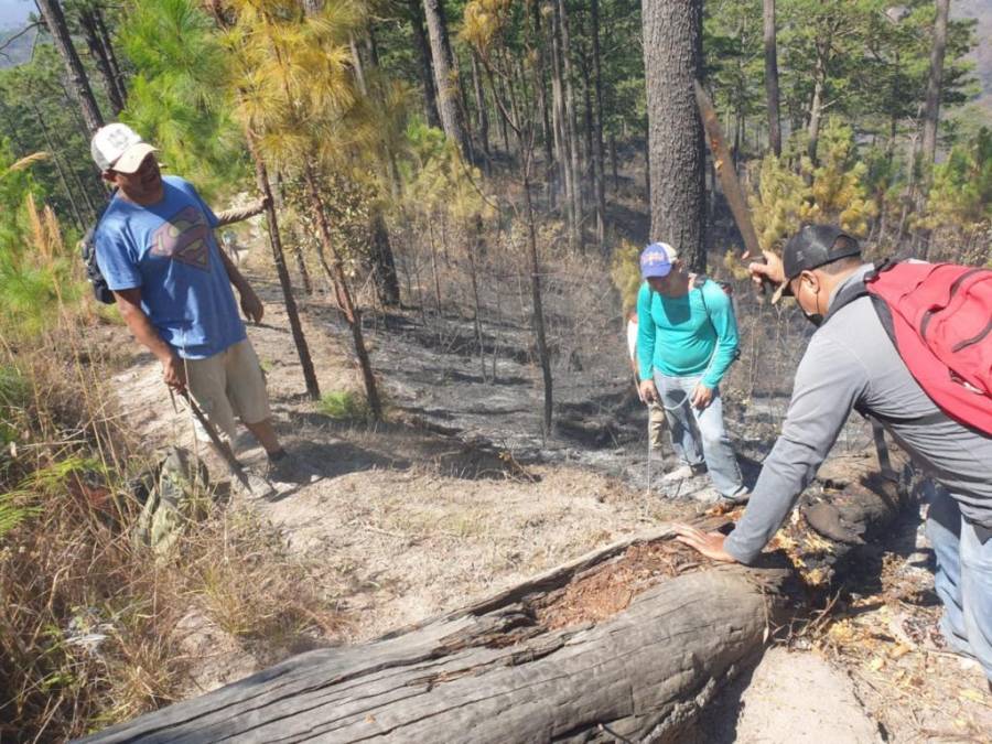 Con machetes, Batefuego y voluntad combaten incendio forestal en La Montañita (Fotos)