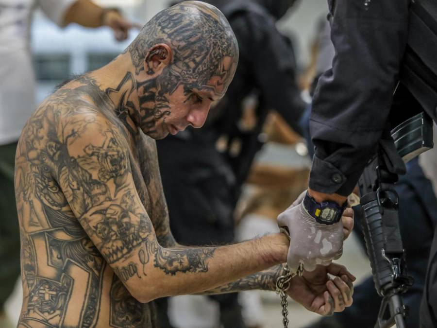 Tatuados, descalzos y esposados: impresionantes fotos de miles de pandilleros llegando a la megacárcel de El Salvador