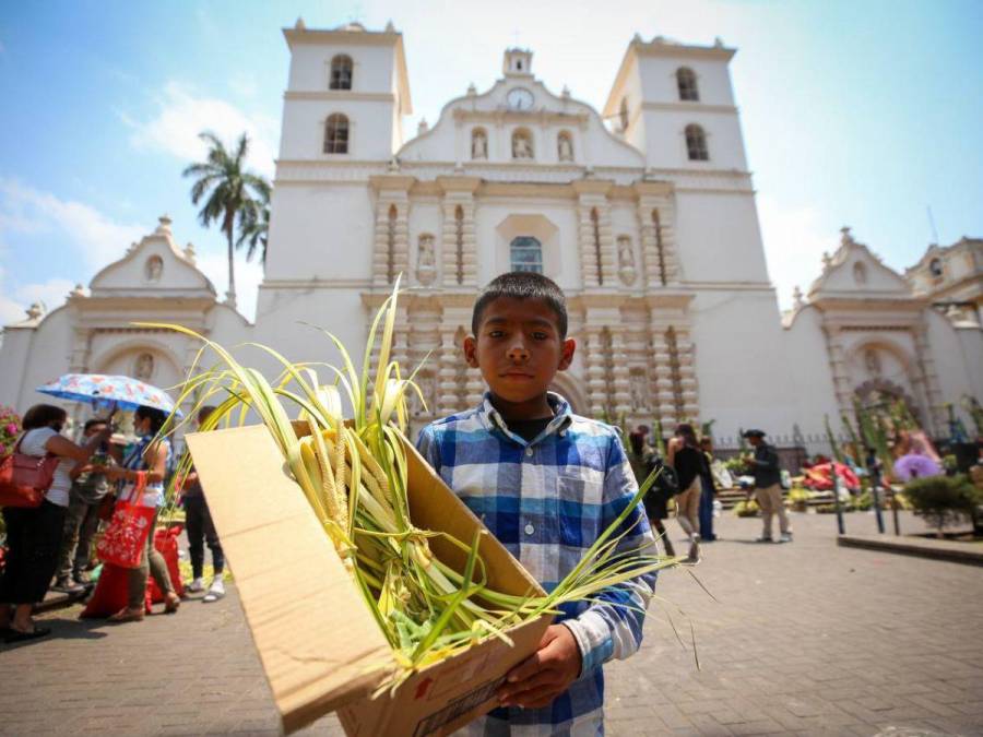Tradición de palmas por Domingo de Ramos pinta de verde al Centro Histórico