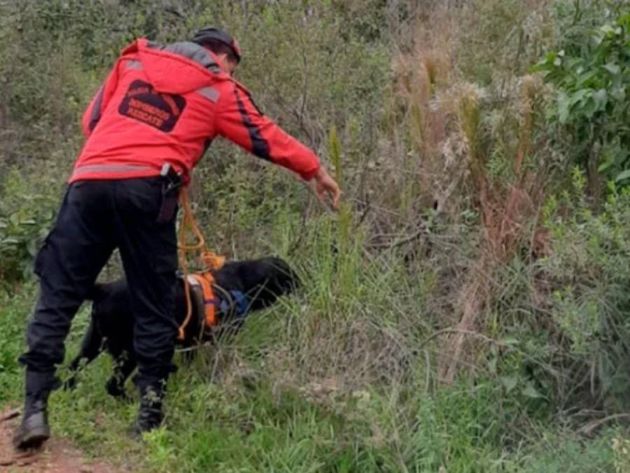 ¿Una denuncia a su esposo o una pelea en el tráfico? las claves en el caso de taxista asesinada en Argentina