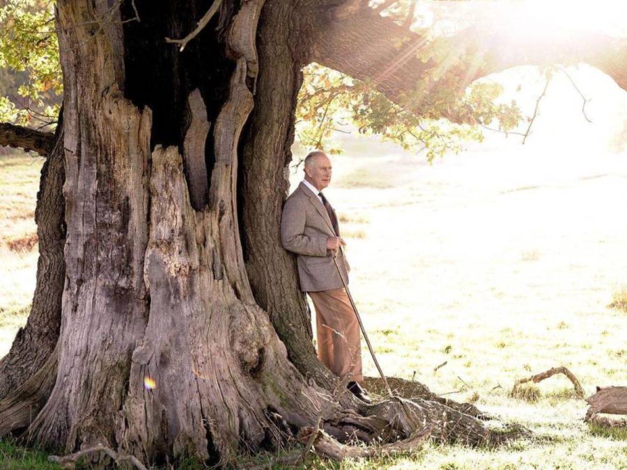 Primero con título universitario, pintor y saluda a los árboles: Curiosidades del rey Carlos III que no conocías