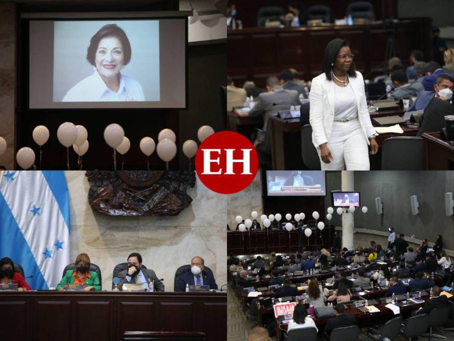 Del homenaje a Carolina Echeverría a la tensión por comisionada del Conadeh: Así se desarrolló la sesión del CN