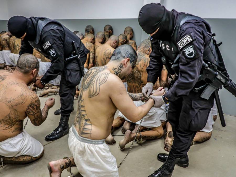 Tatuados, descalzos y esposados: impresionantes fotos de miles de pandilleros llegando a la megacárcel de El Salvador