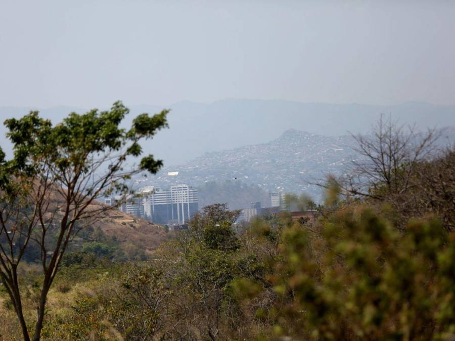 Humo y bruma de incendios forestales contaminan los cielos de la ciudad capital