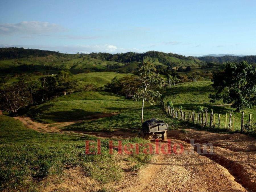 Biósfera del Río Plátano: 100 kilómetros de una carretera ilegal que amenaza un pulmón mundial