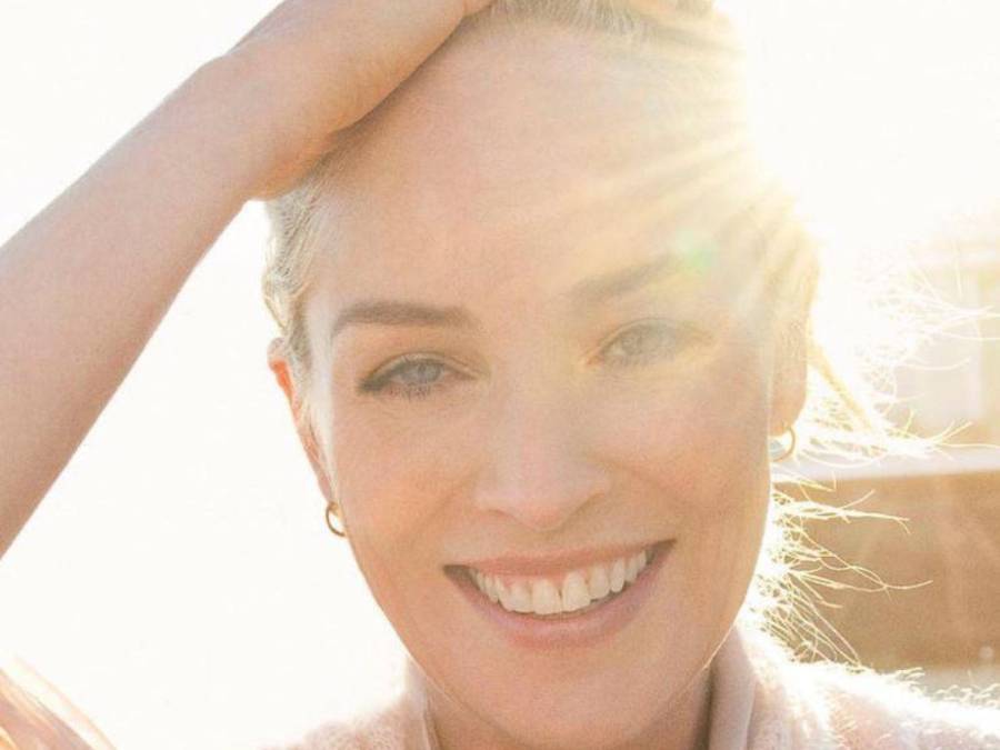 Sharon Stone, la actriz que sufrió nueve abortos antes de adoptar a sus tres hijos