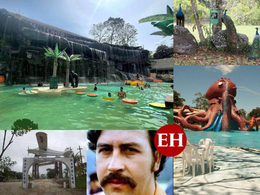 Así es “Hacienda Nápoles”, el zoológico que Pablo Escobar tuvo en su mansión de Colombia