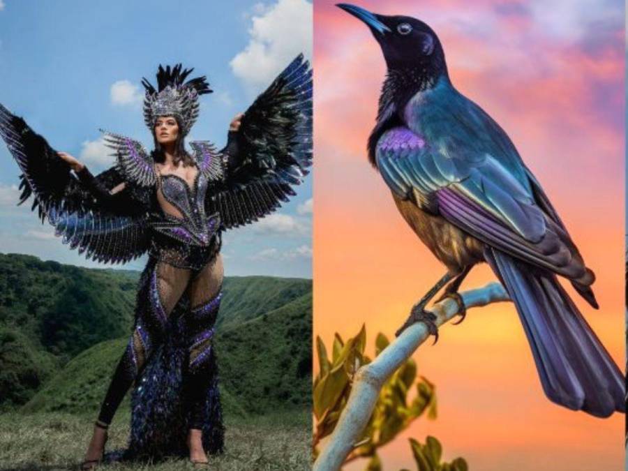 Los trajes típicos más creativos del Miss Universo 2023