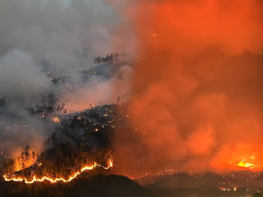 Fotos del incendio en La Tigra: El escenario devastador en el pulmón de la capital