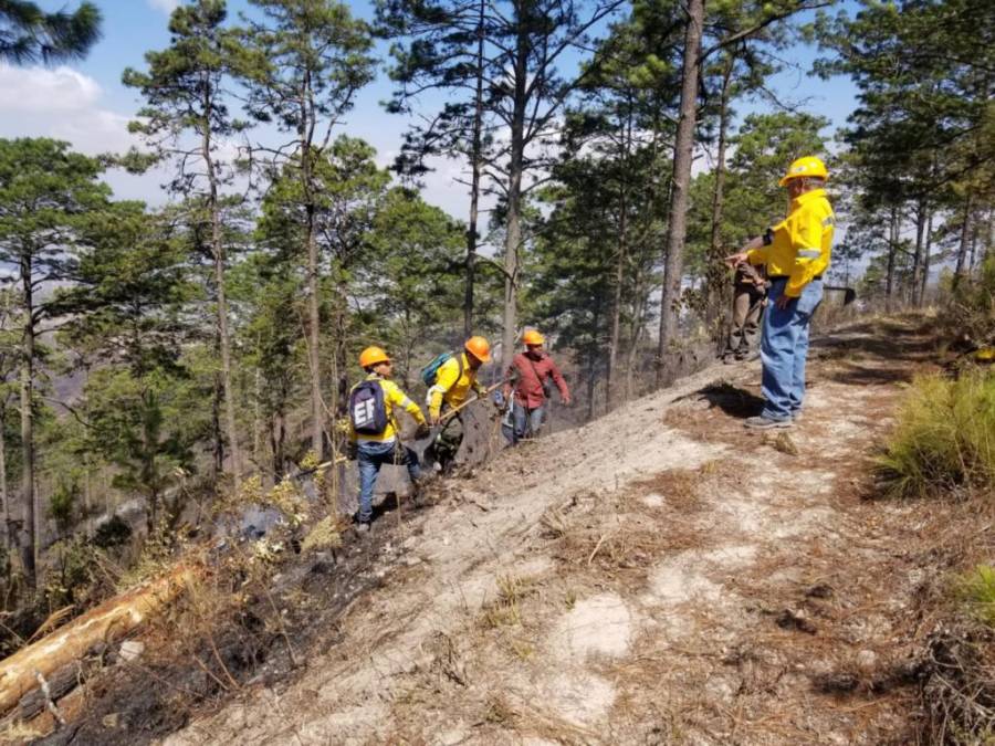 Con machetes, Batefuego y voluntad combaten incendio forestal en La Montañita (Fotos)