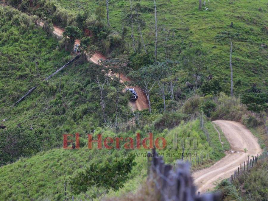 Biósfera del Río Plátano: 100 kilómetros de una carretera ilegal que amenaza un pulmón mundial