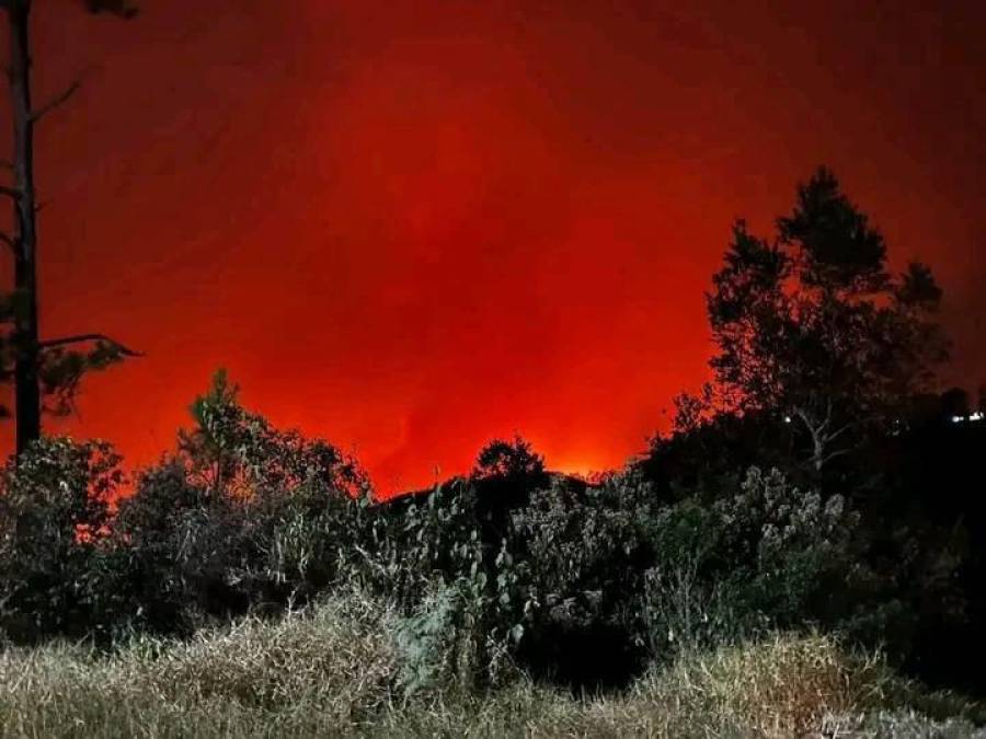 Arde La Tigra: impactantes imágenes del incendio forestal de gran magnitud