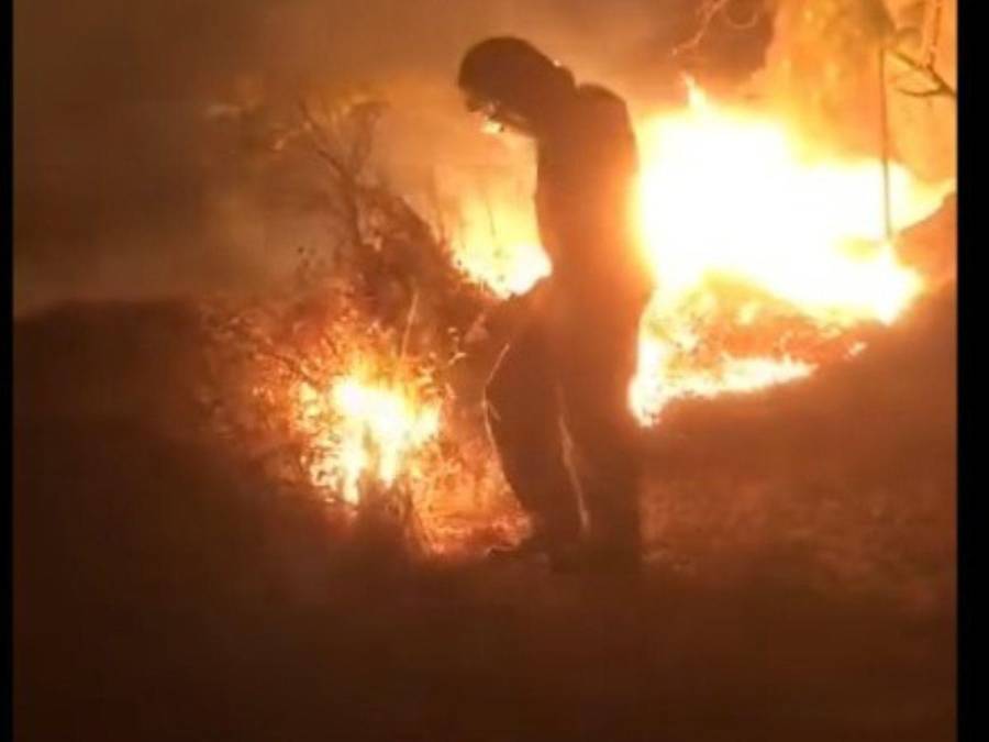 Uso de helicópteros y personal en tierra: así luchan los bomberos para controlar incendio en La Tigra