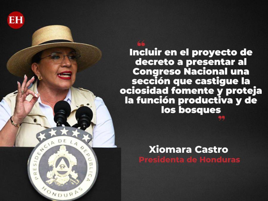 Las frases de Xiomara Castro sobre la creación de la comisión de seguridad agraria y acceso a la tierra