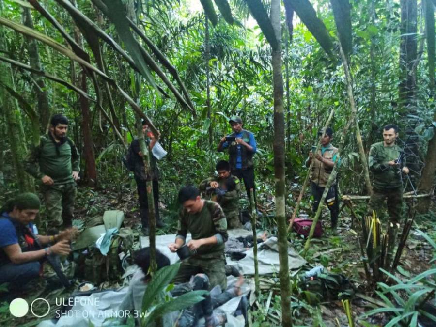 Pistas, falsos anuncios y un exhaustivo operativo: así fue el hallazgo de cuatro niños que estaban desaparecidos desde hace 40 días en selva amazónica