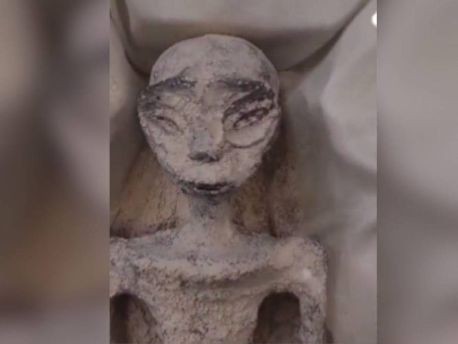 Con huevos en su abdomen y tres largos dedos: así son los “extraterrestres” presentados en Congreso de México