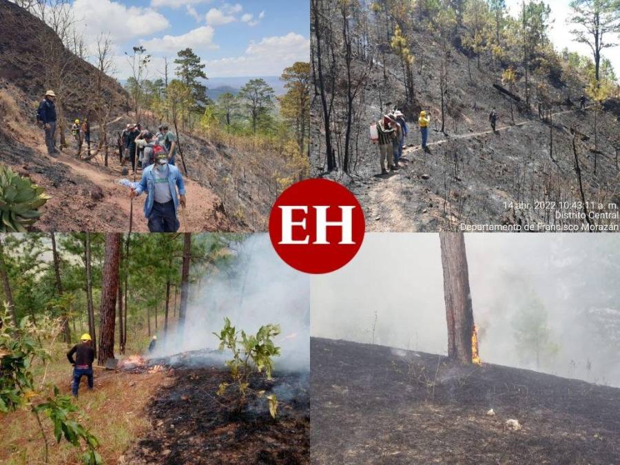 Con machetes, Batefuego y voluntad combaten incendio forestal en La Montañita (Fotos)