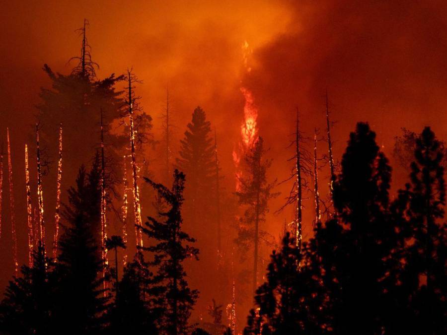 Incendio en California deja evacuados, casas convertidas en ceniza y bosques quemados