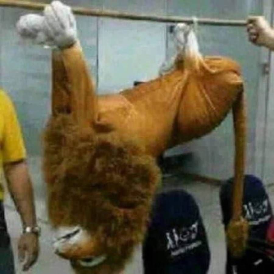 Los memes por la derrota de Olimpia ante Herediano