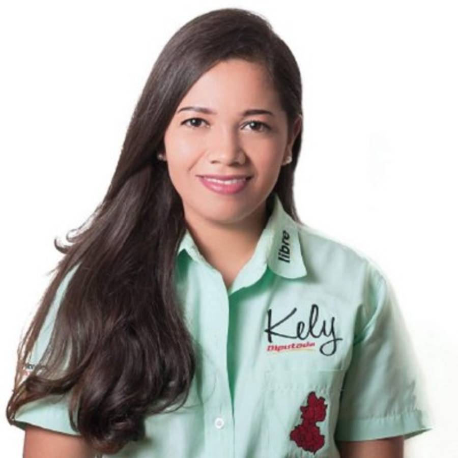 Diputados de Occidente: Los elegidos por Copán, Santa Bárbara, Intibucá, Ocotepeque y Lempira (Fotos)